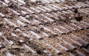 Wilberlee roof cleaning companies