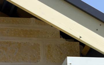 soffit repair Wilberlee