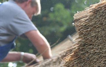 professional Wilberlee thatchers